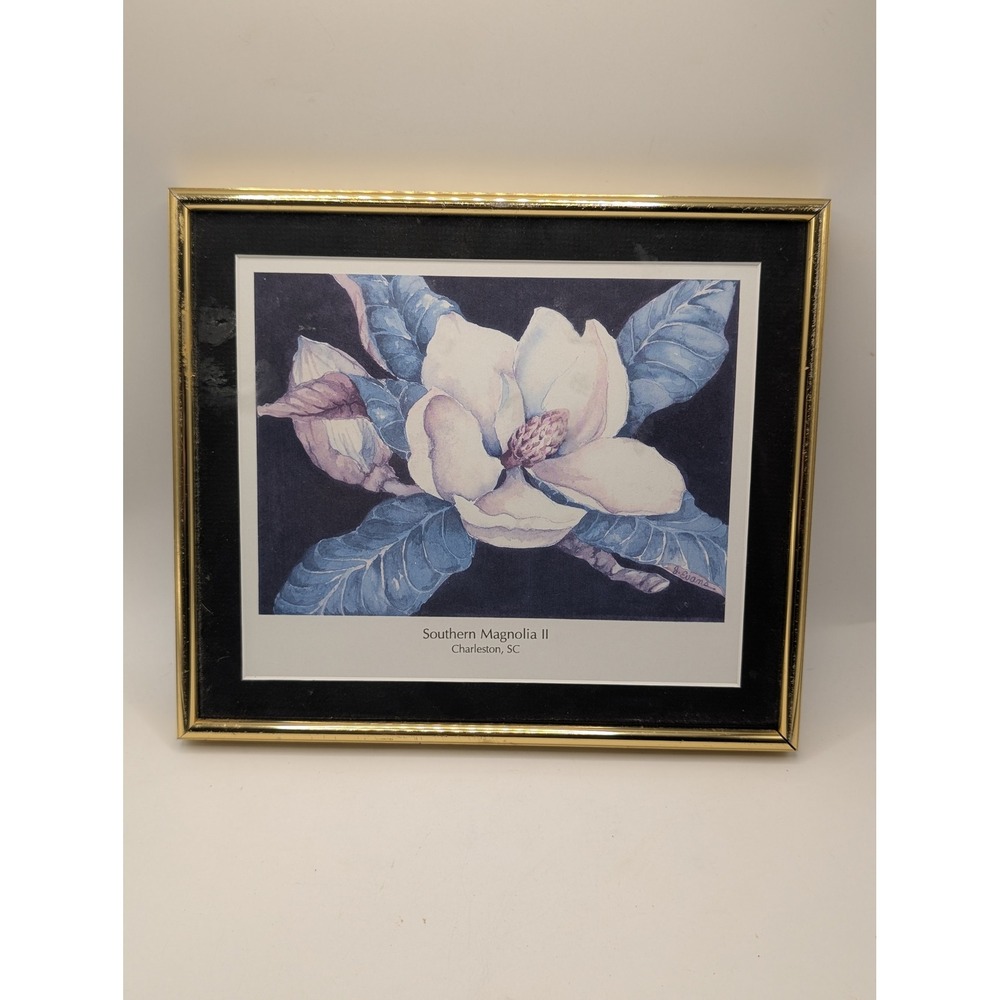 B. Evans Southern Magnolia II‎ Charleston SC Framed Floral Art Print 10x8